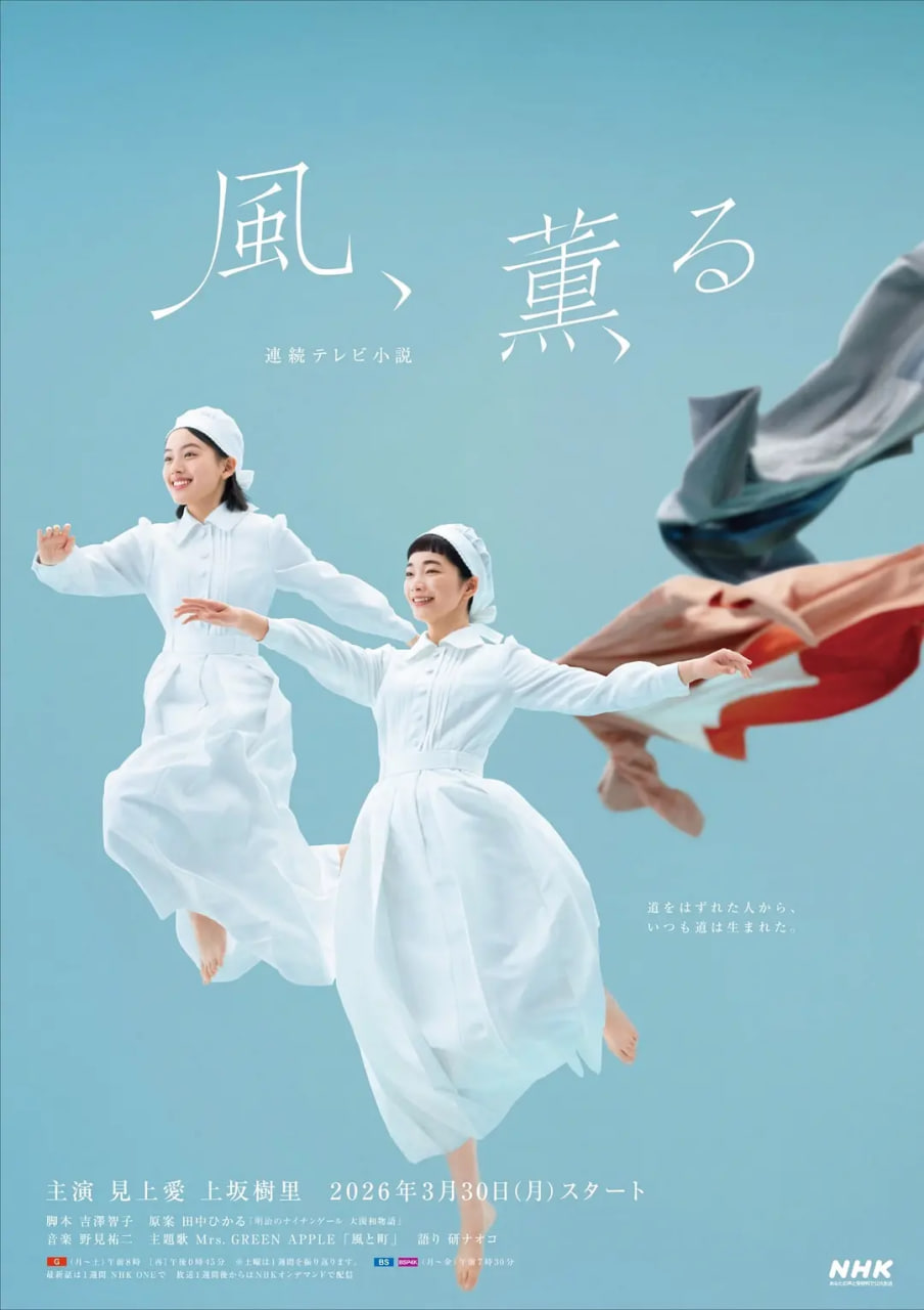 风，带有香气——那金花和她的女婿电视剧