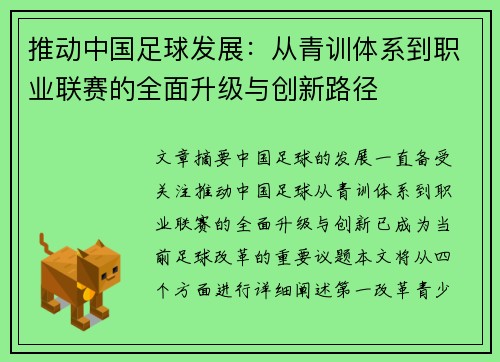 推动中国足球发展：从青训体系到职业联赛的全面升级与创新路径