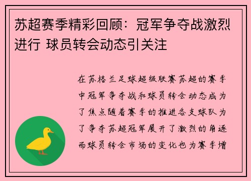 苏超赛季精彩回顾：冠军争夺战激烈进行 球员转会动态引关注